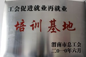 2010年6月  渭南市總工會(huì)授予工會(huì)促進(jìn)就業(yè)再就業(yè)培訓(xùn)基地.jpg